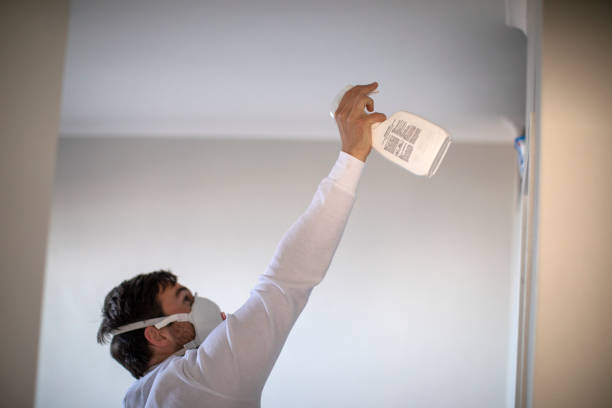 Best Mold Removal Specialists  in Lindon, UT