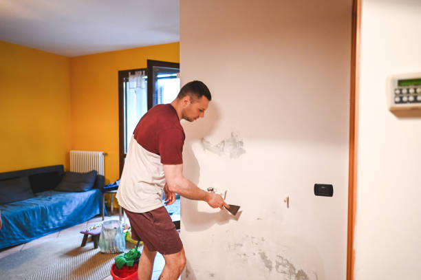 Best Mold Damage Repair  in Lindon, UT